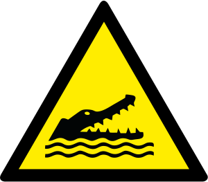 W067