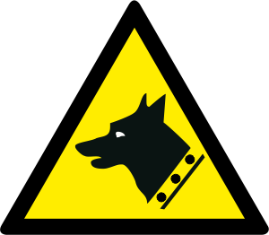 W013