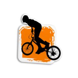 #IMG_DESCR#