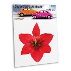 #IMG_DESCR#